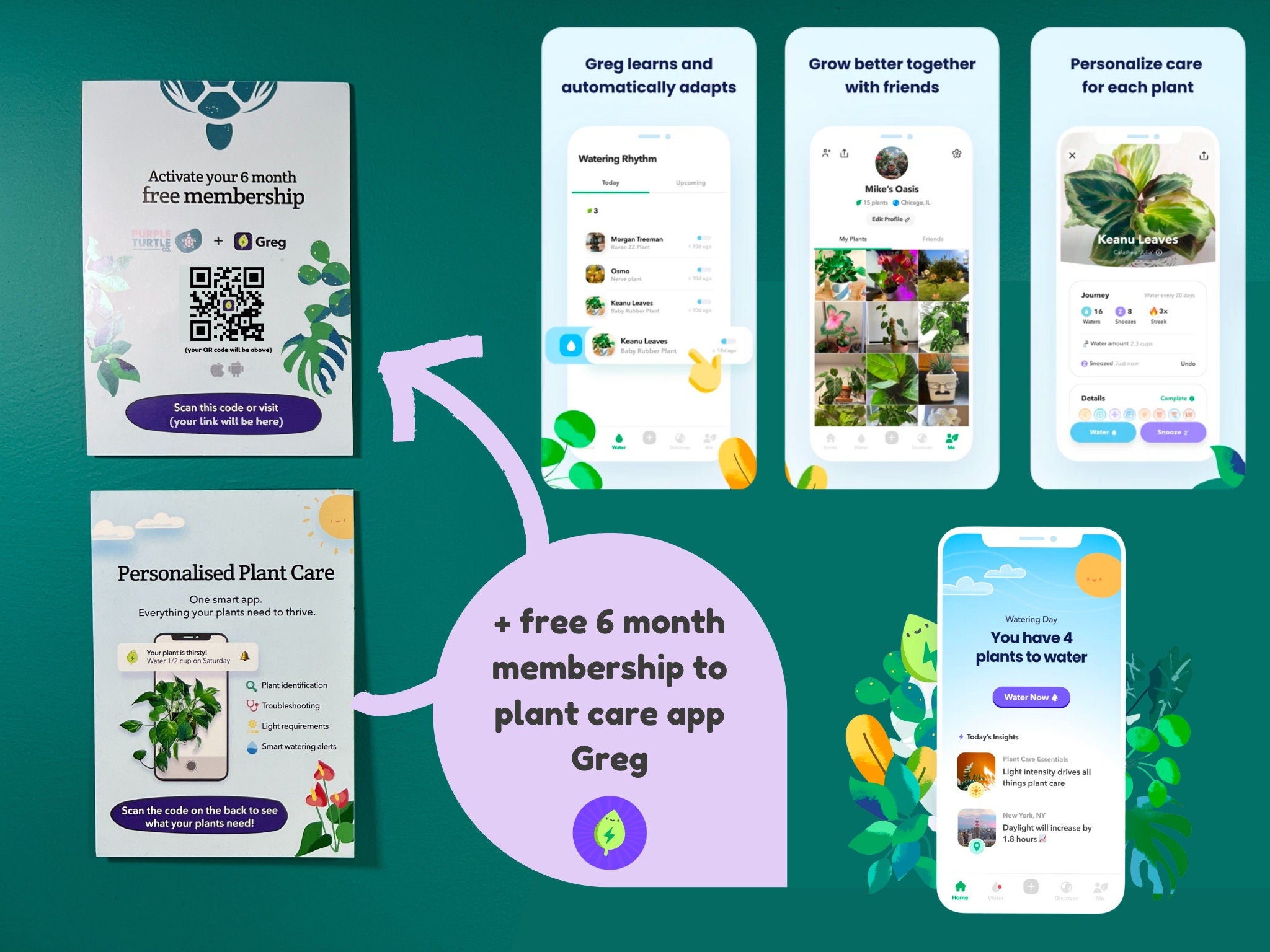 + Free Plant App Membership
